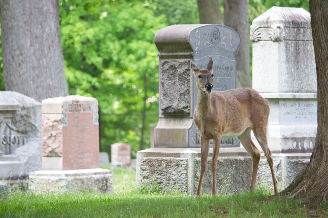 Photo funeral home